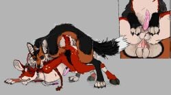 anal anal_sex animal_genitalia animal_penis ass balls bite breath canid canine canine_genitalia canine_penis cloven_hooves deer digitigrade dipstick_tail duo erection feral feral_on_feral feral_penetrated feral_penetrating feral_penetrating_feral forced fox from_behind_position genitals hooves jeffusherb knot knotted_penis male male/male male_penetrated male_penetrating male_penetrating_male mammal markings mating_grip neck_bite penetration penis quadruped rape sex snout tail tail_markings trapped unguligrade