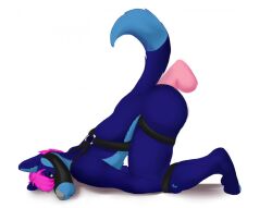 2015 anal anal_sex anthro anthro_penetrated arms_tied ass_up blue_body blue_fur bound canid canine canis dildo dildo_in_ass dildo_insertion fur hair harness male male_anthro male_penetrated mammal mintyderg muzzle_(object) muzzled nude nude_anthro nude_male object_in_ass penetration pink_hair sex_toy sex_toy_in_ass sex_toy_insertion side_view simple_background solo white_background wolf