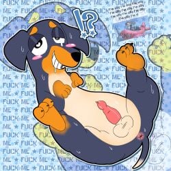 1:1 abstract_background absurd_res animal_genitalia animal_penis anonymous_artist anus balls beastiality black_body black_fur black_nose blue_background blue_outline blush blush_stickers bodily_fluids brown_body brown_fur canid canine canine_genitalia canine_penis canis claws dachshund digital_media_(artwork) dog_of_wisdom_(meme) domestic_dog dotted_background drooling ears_down english_text erection exclamation_point eyebrows feral fur gay gay_anal gay_male gay_sex genital_fluids genitals gradient_fur grin grinning_at_viewer half-closed_eyes halftone halftone_background heart_eyes heart_symbol hi_res homosexual homosexual_male homosexual_sex hunting_dog interrobang knot looking_at_viewer looking_pleasured lying male male/male male_only male_penetrated male_penetrating mammal multicolored_body multicolored_fur narrowed_eyes nervous nervous_smile nervous_sweat outline pattern_background pawpads penile penis pepper_(ukinojoe) pivoted_ears question_mark raised_eyebrows reference_image saliva simple_background smile smiling_at_viewer snout solo spiral spiral_eyes spread_legs spreading star svenniehoek sweat sweatdrop tail tears teeth text toony ukinojoe_(copyright) watermark white_outline youtube zoom_layer