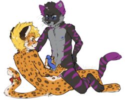 anal anal_sex anthro duo feline fur furry furry_only gay handjob leopard male mammal penetration penis plain_background tiger tobicakes