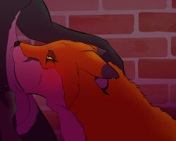 5:4 ambiguous_gender anthro big_dom_small_sub canid canine charlie_(toothyfops) dominant ear_piercing fellatio fox grabbing_head hi_res intersex intersex/male knotting makeup male mammal nonbinary_(lore) oral oral_knotting oral_penetration penetration penile piercing rough_sex running_makeup semi-anthro sex size_difference toothyfops