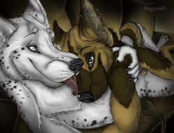 anthro canine cuddling dalmatian dalsky fur furry furry_only german_shepherd husky licking magnum_(artist) mammal nude piercing sheath sofa tongue