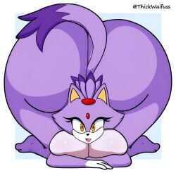 blaze the cat from sega by thickwaifuss