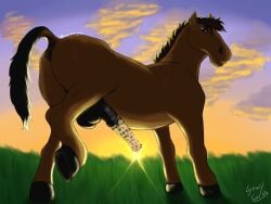4:3 absurd_res anatomically_correct anatomically_correct_genitalia anatomically_correct_penis animal_genitalia animal_penis anus ass backsack balls dirty equid equine equine_genitalia equine_penis erection feral genitals grass_field hi_res horse horse_tail light looking_at_viewer looking_back male mammal penis presenting raised_leg raised_tail sheath smegma smegma_on_penis solo stinkycoyote sunlight tail
