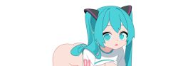 hatsune miku from crypton future media by hochihochiha