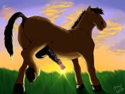 4:3 absurd_res anatomically_correct anatomically_correct_genitalia anatomically_correct_penis animal_genitalia animal_penis anus ass backsack balls equid equine equine_genitalia equine_penis erection feral genitals grass_field hi_res horse horse_tail light looking_at_viewer looking_back male mammal penis presenting raised_leg raised_tail sheath solo stinkycoyote sunlight tail