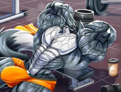 barbell bench biceps big_muscles black_body black_fur black_hair bodily_fluids bulge canid canine clothed clothing container cup dumbbell flaccid fox fur genitals grey_body grey_fur gym hair hands_behind_head hi_res huge_muscles hyper hyper_muscles jewelry male mammal multicolored_body multicolored_fur muscular muscular_arms necklace partially_clothed pecs penis pose solo sweat taiko-sihori tail thick_thighs towel two_tone_body two_tone_fur underwear vein veiny_arms veiny_muscles weights