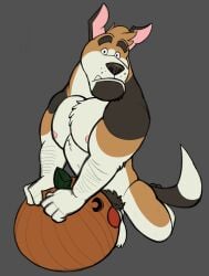 anthro anthro_penetrating arm_hair balls beagle beard biceps big_muscles big_pecs black_beard black_body black_eyebrows black_facial_hair black_fur black_pubes body_hair brown_body brown_fur canid canine canis caught_in_the_act delinquent domestic_dog ethan_costas_(character) ethancostas eyebrows facial_hair food fruit fur genitals grey_background hi_res holding_pumpkin humping hunting_dog jock kneeling kneeling_on_ground looking_at_viewer male male_only male_penetrating mammal manly masturbation multicolored_body multicolored_fur muscles muscular muscular_anthro muscular_male nipples nude nude_anthro nude_male pecs penetrating_pumpkin penetration penile penile_masturbation penile_penetration penis plant pubes pumpkin pumpkin_fucking pumpkin_masturbation scent_hound simple_background solo surprised surprised_eyes surprised_face surprised_look tail thick_arms thick_eyebrows thick_thighs thrusting thrusting_forward white_body white_fur