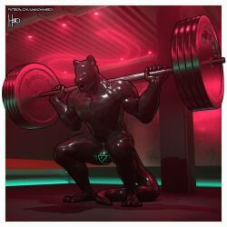 absurd_res anthro barbell barbell_squats brainwashing clothing drone dronesuit dronification exercise felid gag gagged hi_res latex latex_clothing latex_skinsuit lion lock_bulge male male_only mammal mane matthew-x muscular muscular_anthro muscular_male null_bulge pantherine plug_gag plug_insertion skinsuit submissive_male tight_clothing weightlifting workout