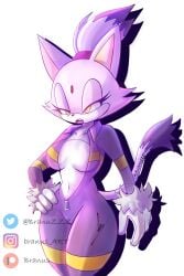 2d 2d_artwork belly belly_button big_ass big_breasts big_butt big_hips blaze_the_cat branuzzz breasts cat_ears cat_tail half-closed_eyes head_gem hips hourglass_figure inner_sideboob open_mouth ponytail purple_fur sega sonic_(series) sonic_riders sonic_the_hedgehog_(series) sportswear thick_thighs thin_waist yellow_eyes zipper_down