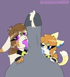 1boy 2girls anthro bad_anatomy blowjob blue_eyes brown_hair canela_(canelitabunny) canelitabunny catnela_(canelitabunny) feline fellatio females females_only furry furry_female nekomata orange_hair purple_eyes rabbit