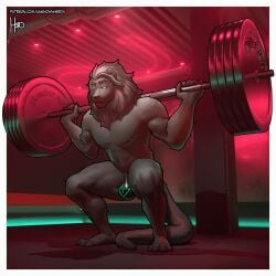 1:1 absurd_res anthro barbell barbell_squats exercise felid hi_res lion male mammal mane matthew-x muscular muscular_anthro muscular_male null_bulge pantherine text url weightlifting workout