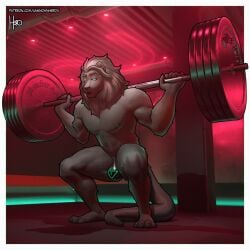 1:1 absurd_res anthro barbell barbell_squats brainwashing exercise felid hi_res hypnosis lion lock_bulge male mammal mane matthew-x mind_control muscular muscular_anthro muscular_male null_bulge pantherine text url weightlifting workout