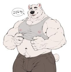 anthro bear biceps bottomwear bulge clothing digital_drawing_(artwork) digital_media_(artwork) fur hi_res male male_anthro mammal meocondainhan musclegut muscular muscular_anthro muscular_male navel pants polar_bear shirt simple_background tail tank_top topwear ursine white_background