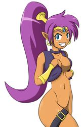 bottomless davidsanchan partially_dressed purple_hair shantae shantae_(character) solo straight_hair