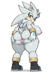 silver the hedgehog from sonic (series)