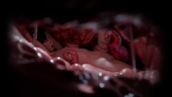 1girls 3d angela_orosco animated eaten_then_fucked female geministarsign human inside_creature internal_view interspecies monster monster_on_female short_video shorter_than_30_seconds silent_hill silent_hill_2 sound tagme tentacle tentacle_sex video voice_acted vore vorentacle