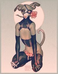 2018 abstract_background animal_genitalia animal_penis anthro armwear black_armwear black_clothing black_elbow_gloves black_eye_patch black_eyewear black_gloves black_handwear black_latex black_legwear black_neckwear black_thigh_highs border brown_body brown_fur brown_tail canid canine canine_genitalia canine_penis canis clothed clothed_anthro clothed_male clothing dated dipstick_tail domestic_dog elbow_gloves erection eye_patch eyewear femboy floppy_ears flower flower_in_mouth folded_ears full-length_portrait fur genitals glans gloves green_border handwear humanoid_genitalia humanoid_penis hybrid_genitalia hybrid_penis kneeling knot knotted_humanoid_penis knotted_penis koiranmaitoa latex latex_armwear latex_clothing latex_elbow_gloves latex_gloves latex_handwear latex_legwear latex_thigh_highs legwear male male_anthro mammal markings penis pink_eyes pink_flower pink_glans pink_nose pink_penis plant portrait rose_(flower) rose_in_mouth slim_anthro slim_male solo tail tail_markings tan_body tan_fur tan_inner_ear tan_snout tan_tail_tip thigh_highs two_tone_tail watermark x_eye_patch