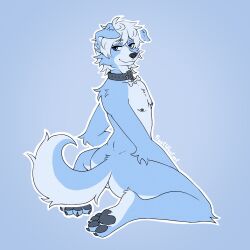 blue_background blue_body blue_eyes blue_fur blue_nipples choker frostwoof furry furry_ass furry_body furry_chest furry_dog furry_feet furry_femboy furry_male furry_only furry_paws furry_tail looking_at_viewer sitting tail white_feet white_fur white_hair