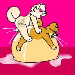 1:1 absurd_res anthro bodily_fluids canid canine canis cum cum_covered cum_inflation cum_inside cum_on_ground curled_tail domestic_dog doshiba_solaris doug_polaris duo ejaculation excessive_cum excessive_genital_fluids fur genital_fluids genitals hi_res inflation knot leaking_cum lying lying_on_another lying_on_self male male/male mammal messy multiple_orgasms on_front on_top orgasm penis shiba_inu shiroi_yuki slightly_chubby spitz tail white_body white_fur yellow_body yellow_fur