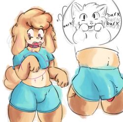 absurd_res anthro bottomwear canid canine canis clothing domestic_dog erection erection_under_clothing femboy hi_res jewelry kobaltowo male mammal necklace raised_tail shorts solo tail