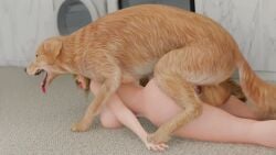 1boy 1girls ahe_gao areolae ass big_ass big_breasts big_penis blonde_hair breasts canine dead_or_alive domestic_dog dominant feral feral_on_human helena_douglas lordhub penis submissive tagme tongue_out video zoophilia