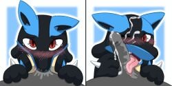 2:1 anthro blush bodily_fluids comic cum cum_on_face duo english_text erection fellatio generation_4_pokemon genital_fluids genitals glans hi_res lucario male male/male milowo nintendo oral penile penis pokemon pokemon_(species) red_eyes saliva sex teeth text tongue tongue_out