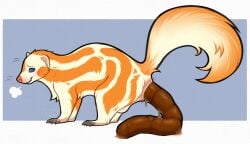 anal_fluids anus arched_back balls blue_eyes blue_pupils blue_sclera blush bodily_fluids breath browniesnsfw claws fangs feces femboy feral fluffy fluffy_tail fur gay gay_anal genitals homosexual homosexual_male looking_back male male/male male_only male_penetrated mammal mephitid multicolored_body multicolored_fur orange_body orange_fur pioneer_(pioneer-mephitis) pooping pupils quadruped raised_tail relieved side_view skunk smile solo striped_skunk tail tan_body tan_fur teeth two_tone_body two_tone_fur