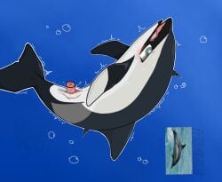 1145_(artist) aquatic bubble cetacean chinese_text delphinus_capensis dolphin female feral genitals hi_res male male/female mammal penetration penile penile_penetration penis penis_in_vagina sex shaking text toony toothed_whale trembling underwater underwater_sex underwater_view vaginal vaginal_penetration water