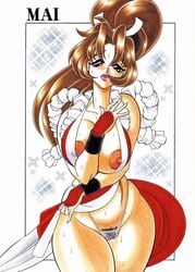 female female_only human king_of_fighters mai_shiranui snk solo tagme wingbird