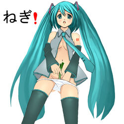 female hatsune_miku highres kouhei_(sxmas) masturbation spring_onion thighhighs tied_hair twintails vocaloid zettai_ryouiki