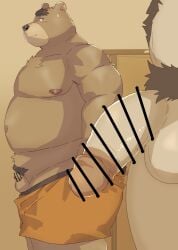 2024 absurd_res anthro arufina_w bear belly big_belly big_penis blush brown_body censored clothing duo flaccid genitals hi_res kemono male mammal micropenis navel nipples overweight overweight_male penis penis_size_difference small_penis underwear