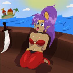 1girls big_breasts clothed female huge_breasts kneeling kneeling_female looking_up outdoors outside shantae shantae_(character) shantae_and_the_pirate's_curse solo tongue_out