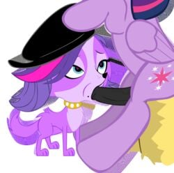 animated canine crossover equine fellatio furry futanari hair intersex littlest_pet_shop my_little_pony oral stardust_swirl twilight_sparkle_(mlp) two_tone_hair zoe_trent