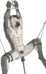 2026 abs absurd_res anal anal_penetration anthro areola arknights athletic athletic_anthro athletic_male balls bdsm bondage bound chain chained chastity_device clowd_fc collar cuff_(restraint) dildo dildo_in_ass dildo_insertion ear_piercing eyebrow_piercing facial_piercing fur genitals hi_res hyena hypergryph male mammal markings metal_collar metal_cuffs multicolored_body multicolored_fur navel nipple_piercing nipples object_in_ass penetration piercing restraints sex_toy sex_toy_in_ass sex_toy_insertion simple_background solo spot_(arknights) spots spotted_body spotted_fur spotted_hyena spread_legs spreading studio_montagne two_tone_body two_tone_fur white_background