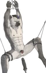 2026 abs absurd_res anthro areola arknights athletic athletic_anthro athletic_male balls bdsm bondage bound chain chained chastity_device clowd_fc collar cuff_(restraint) dildo ear_piercing eyebrow_piercing facial_piercing fur genitals hi_res hyena hypergryph male mammal markings metal_collar metal_cuffs multicolored_body multicolored_fur navel nipple_piercing nipples piercing restraints sex_toy simple_background solo spot_(arknights) spots spotted_body spotted_fur spotted_hyena spread_legs spreading studio_montagne two_tone_body two_tone_fur white_background
