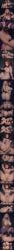 2d 2girls ahegao ai_generated anal anal_sex anus arched_back armpits ass_focus ass_grab ass_ripple blonde_hair blush boku_no_hero_academia breast_focus breast_press breasts_out brown_eyes brown_hair bulge cameltoe cleavage clenched_teeth clitoral_hood clitoris close-up close-up_ass close-up_pussy closed_eyes comic comic_strip covered_nipples covered_penis cum_in_ass cum_in_pussy cum_inside cum_on_penis cum_overflow cum_puddle drooling ejaculation english_text erection erection_under_clothes excessive_cum eye_contact face_down face_down_ass_up face_grab face_in_pillow female_ejaculation female_masturbation female_orgasm finger_in_another's_mouth folded from_above from_behind from_side full-package_futa futa_pov futa_with_female futanari gaping_anus grabbing_another's_breast grabbing_from_behind guided_penetration half-closed_eyes hands_above_head hands_up head_back head_out_of_frame heavy_breathing holding_another's_leg holding_another's_legs huge_ass hugging_own_legs in_heat kissing kissing_neck knees_up lace-trimmed_lingerie lace-trimmed_thighhighs large_breasts large_bulge large_penis latentlust leg_lock leg_up legs_together legs_up licking_lips licking_own_lips lingerie long_comic long_hair long_image looking_at_another looking_at_viewer lying_on_person masturbation_through_clothing mating_press medium_breasts medium_hair missionary_position mount_lady mouth_pull my_hero_academia negligee night nightgown nipple_tweak ochako_uraraka on_back on_bed on_stomach open_mouth panties_around_thighs panty_pull penis_on_pussy pink_dress playing_with_hair pounding pov_breasts pov_penis precum precum_drip precum_string prone_bone puckered_lips puffy_nipples pulling_panties purple_eyes purple_lingerie purple_thighhighs pussy pussy_juice pussy_juice_on_penis pussy_juice_string pussy_juice_trail rolling_eyes rough_sex rubbing_clitoris sagging_breasts seductive_smile see-through_clothing see-through_thighhighs sex_after_cumming sex_from_behind sheet_grab sitting sleeveless sleeveless_dress smirk sofa solo spread_legs squirting standing standing_sex strap_slip surprised sweat takeyama_yuu thick_thighs thigh_sex thighhighs tight_clothing tongue_out top-down_bottom-up trembling triangular_anus uncensored upskirt wariza wide_hips x-cum_overflow x-ray yuri