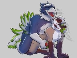 blitz the seahawk from nfl