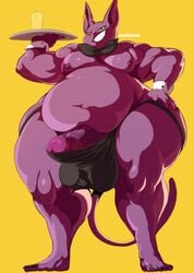 1boy anthro boner champa compression_artifacts dragon_ball dragon_ball_super erection furry male male_only overweight overweight_male penis solo solo_male vhsdaii