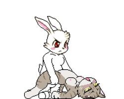naughty rabbit fan art