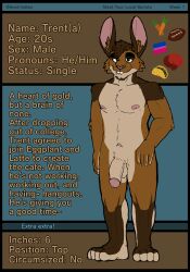 absurd_res anthro bedroom_eyes bisexual_pride_colors bite biting_lip boxing_gloves brown_body brown_fur bulge carrot clothing flaccid food football_(disambiguation) foreskin fur genitals hand_in_pocket handwear hi_res lagomorph leporid lewd_latte lgbt_pride male male_only mammal narrowed_eyes nude penis plant pockets pride_colors rabbit seductive smile solo taco trent_(lewd_latte) vegetable