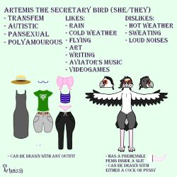 1:1 accipitriform anklet anthro artemis_the_bird artemis_the_bird_(character) avian bird bottomwear bow_ribbon character_sheet clothing crop_top curved_penis dress english_text eyewear feathered_wings feathers female genitals glasses hat headgear headwear hi_res jewelry nude panties pants penis reference_image secretary_bird shirt shorts solo sun_hat sweatpants tail tail_feathers text topwear trans_(lore) trans_woman_(lore) underwear vulva wings