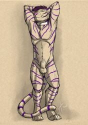 2017 animal_genitalia anthro balls closed_smile dated digitigrade felid front_view full-length_portrait genitals green_eyes hair hi_res hufnaar looking_at_viewer male male_anthro mammal markings mouth_closed narrowed_eyes navel nude pantherine partially_colored penis penis_tip pink_nose portrait purple_hair sheath simple_background slim_anthro slim_male smile solo standing striped_arms striped_legs striped_markings striped_tail stripes tail tail_markings tiger