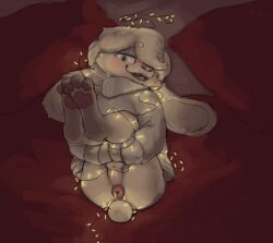 anthro anus balls bed big_ears blue_eyes blush clothing furniture genitals glibnel hair hi_res holding_both_legs lagomorph legs_up leporid lights male mammal open_mouth pawpads paws perineum pillow presenting presenting_anus puffy_anus rabbit solo string_lights sweater topwear