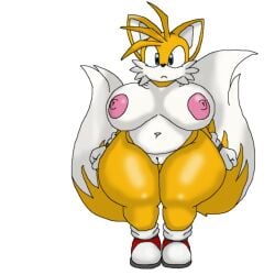 tails the fox from sonic (series) by fatmobians