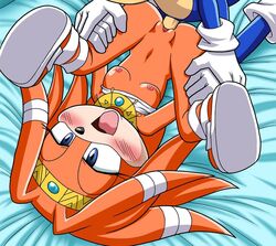 sonic the hedgehog from sega