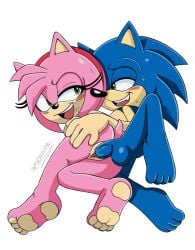 amy rose from sega by spindasher98
