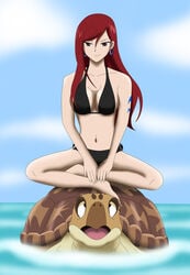 bikini crossover dragon_ball erza_scarlet fairy_tail female ocean tagme turtle turtle_(dragon_ball) umigame