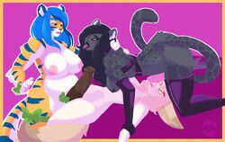 3girls animal_ears animal_penis anthro arm_gloves arm_grab big_breasts big_penis black_hair black_sclera blue_hair blue_skin bow breasts cat_ears catgirl chubby cum cum_drip cumdrip dark_skin drool feline fen furry futa_on_female futanari gloves green_eyes grey_skin hair head_grab herm_on_herm horsecock intersex kyra large_breasts large_penis latex licking light_skin long_hair nightargen nipples nude oral orange_eyes orange_skin outfit panther penis pink_hair precum restrained smile smiling stockings striped_skin tail tiger tights tongue_out uncensored victoria_(two-ts)