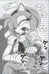 amy_rose censored comic fur furry furry_bomb hedgehog mammal mitsuharu_takura penis sonic_(series) sonic_the_hedgehog translation_request